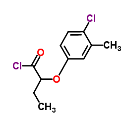 2-(4-Chloro-3-methylphenoxy)butanoyl chloride结构式