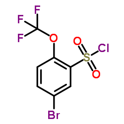 5-Bromo-2-(trifluoromethoxy)benzene-1-sulfonyl chloride picture