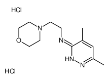 4,6-dimethyl-N-(2-morpholin-4-ylethyl)pyridazin-3-amine,dihydrochloride结构式