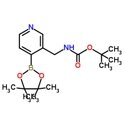 2-Methyl-2-propanyl {[4-(4,4,5,5-tetramethyl-1,3,2-dioxaborolan-2-yl)-3-pyridinyl]methyl}carbamate结构式