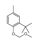 2-tert-butyl-1-(methoxymethoxy)-4-methylbenzene结构式