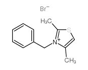 2,4-二甲基-3-苄基溴化噻唑结构式