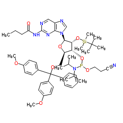 2-Isobutyrylamino-9-(2'-O-tert-butyldimethylsilyl-5'-O-DMT-b-D-ribofuranosyl)purine 3'-CE phosphoramidite Structure