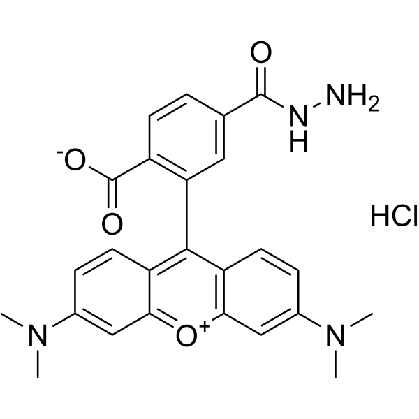 TAMRA hydrazide (6-isomer) Structure