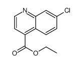 ethyl 7-chloroquinoline-4-carboxylate结构式