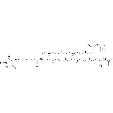 N-Desthiobiotin-N-bis(PEG4-t-butyl ester) structure