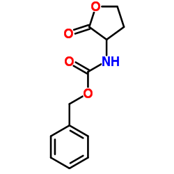 Benzyl (2-oxotetrahydro-3-furanyl)carbamate结构式
