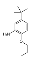 5-tert-butyl-2-propoxyaniline Structure