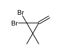 1,1-dibromo-2,2-dimethyl-3-methylidenecyclopropane Structure