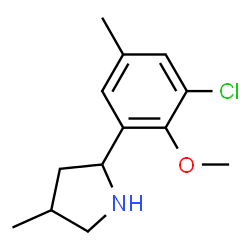 Pyrrolidine, 2-(3-chloro-2-methoxy-5-methylphenyl)-4-methyl- (9CI) structure