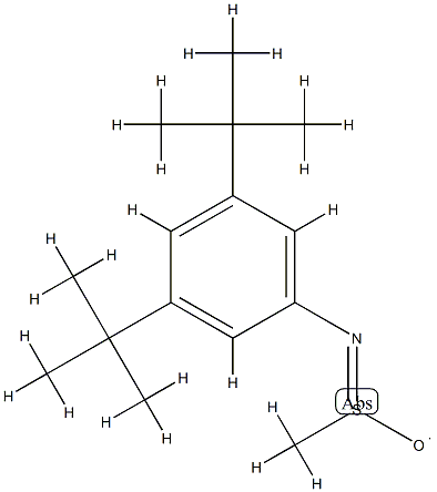 N-(3,5-Di-tert-butylphenyl)methanesulfinamido radical Structure