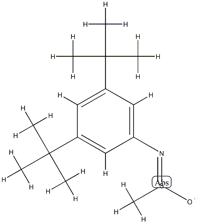 N-(3,5-Di-tert-butylphenyl)methanesulfinamido radical picture