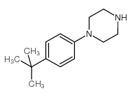 1-(4-叔丁基-丁基苯基)哌嗪结构式