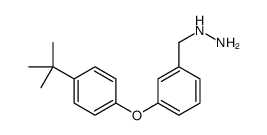 3-(4-叔丁基苯氧基)苄肼结构式