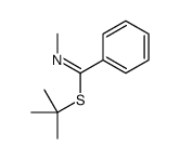 tert-butyl N-methylbenzenecarboximidothioate结构式
