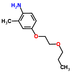 2-Methyl-4-(2-propoxyethoxy)aniline Structure