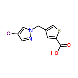 4-[(4-CHLORO-1H-PYRAZOL-1-YL)METHYL]THIOPHENE-2-CARBOXYLIC ACID结构式