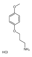 3-(4-METHOXYPHENOXY)PROPAN-1-AMINE HYDROCHLORIDE结构式