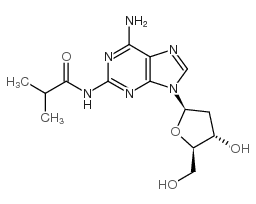 2-amino-n2-isobutyryl-2'-deoxyadenosine picture