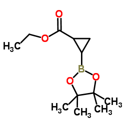 Ethyl 2-(4,4,5,5-tetramethyl-1,3,2-dioxaborolan-2-yl)cyclopropanecarboxylate Structure