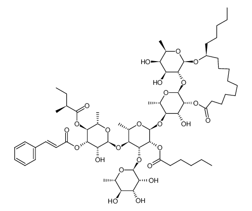 pescaprein XXIX Structure