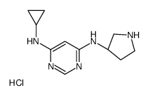 (S)-N4-环丙基-N6-(吡咯烷-3-基)嘧啶-4,6-二胺盐酸盐结构式