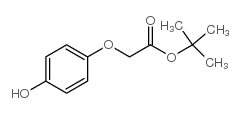 2-(4-羟基苯氧基)乙酸叔丁酯结构式