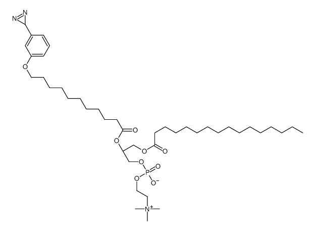 1-palmitoyl-2-(11-(3-diazirinophenoxy)undecanoyl)-sn-glycero-3-phosphocholine Structure