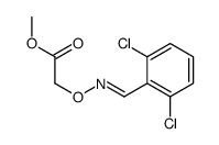 methyl 2-[(2,6-dichlorophenyl)methylideneamino]oxyacetate Structure