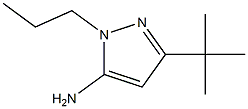 3-tert-butyl-1-propyl-1H-pyrazol-5-amine结构式