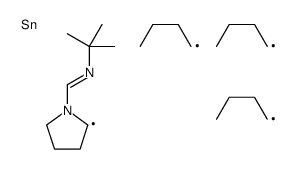 N-tert-butyl-1-(2-tributylstannylpyrrolidin-1-yl)methanimine结构式