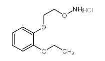 O-[2-(2-Ethoxy-phenoxy)-ethyl]-hydroxylamine hydrochloride Structure