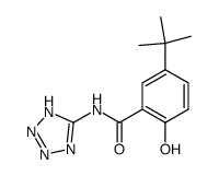 5-tert-Butyl-2-hydroxy-N-(1H-tetrazol-5-yl)-benzamide Structure