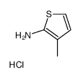 3-methylthiophen-2-amine,hydrochloride结构式