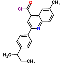 2-(4-sec-Butylphenyl)-6-methyl-4-quinolinecarbonyl chloride结构式