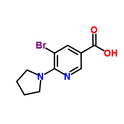 5-bromo-6-pyrrolidin-1-ylnicotinic acid picture