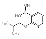 2-异丁氧基吡啶-3-硼酸图片