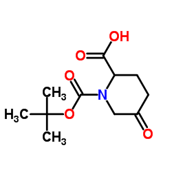 1,2-Piperidinedicarboxylic acid, 5-oxo-, 1-(1,1-dimethylethyl) ester Structure