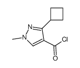 1H-Pyrazole-4-carbonyl chloride, 3-cyclobutyl-1-methyl- (9CI) Structure