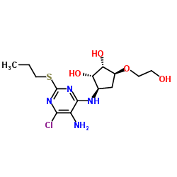 (1S,2S,3R,5S)-3-((5-Amino-6-chloro-2-(propylthio)pyrimidin-4-yl)amino)-5-(2-hydroxyethoxy)cyclopentane-1,2-diol Structure