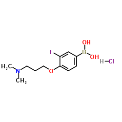 (4-(3-(二甲氨基)丙氧基)-3-氟苯基)硼酸盐酸结构式