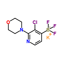 2-吗啉-3-氯-4-氟硼酸钾吡啶结构式