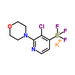 potassium (3-chloro-2-Morpholinopyridin-4-yl)trifluoroborate structure