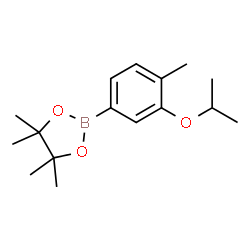 3-Isoproproxy-4-methylphenylboronic acid pinacol ester Structure