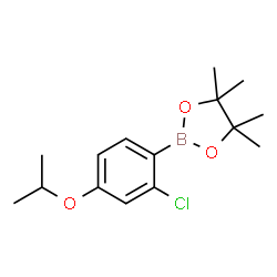 2-Chloro-4-isopropoxyphenylboronic acid pinacol ester picture
