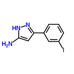 3-(3-Iodophenyl)-1H-pyrazol-5-amine picture