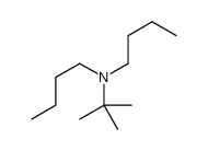 N-butyl-N-tert-butylbutan-1-amine Structure