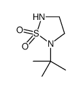 2-tert-butyl-1,2,5-thiadiazolidine 1,1-dioxide结构式