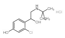 Benzenemethanol, 2-chloro-a-[[(1,1-dimethylethyl)amino]methyl]-4-hydroxy-, hydrochloride (1:1) picture
