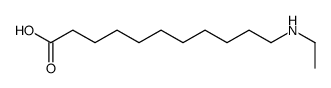 11-(ethylamino)undecanoic acid结构式